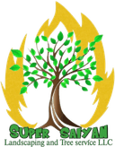 Super Saiyan Landscaping and Tree Service