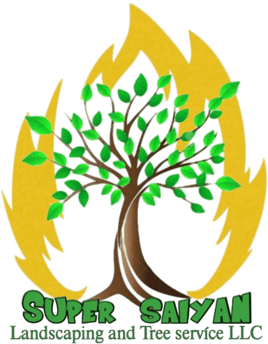 Super Saiyan Landscaping and Tree Service