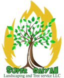 Super Saiyan Landscaping and Tree Service